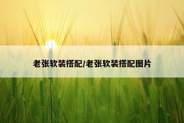 老张软装搭配/老张软装搭配图片
