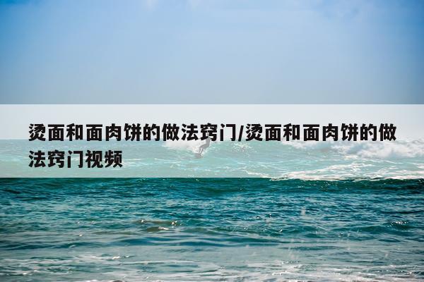 烫面和面肉饼的做法窍门/烫面和面肉饼的做法窍门视频