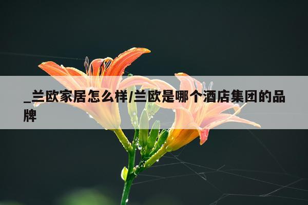 _兰欧家居怎么样/兰欧是哪个酒店集团的品牌
