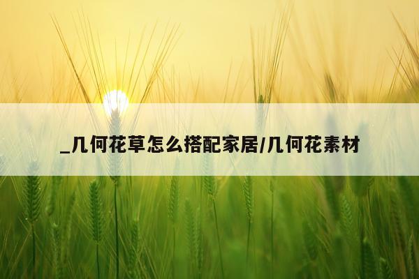 _几何花草怎么搭配家居/几何花素材
