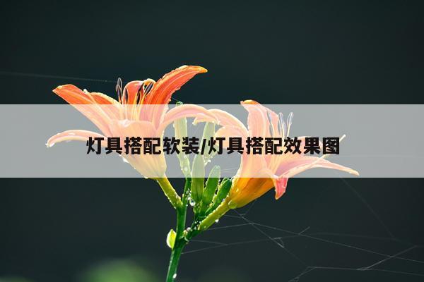 灯具搭配软装/灯具搭配效果图