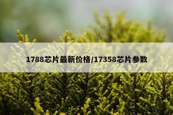 1788芯片最新价格/17358芯片参数