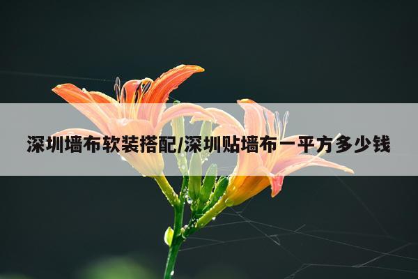 深圳墙布软装搭配/深圳贴墙布一平方多少钱