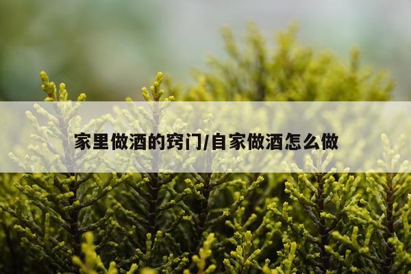 家里做酒的窍门/自家做酒怎么做