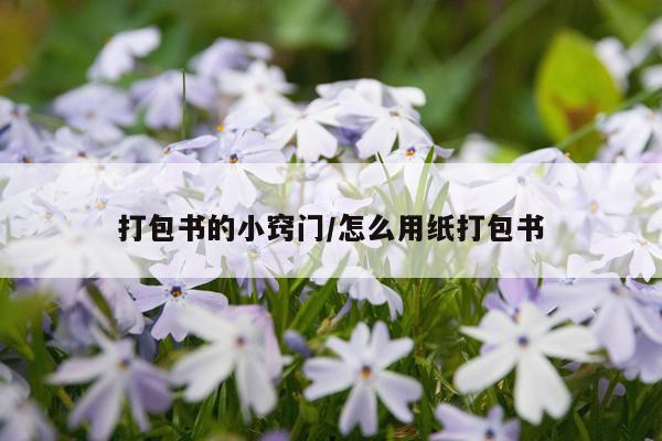 打包书的小窍门/怎么用纸打包书
