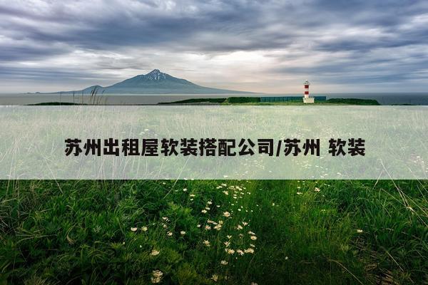 苏州出租屋软装搭配公司/苏州 软装