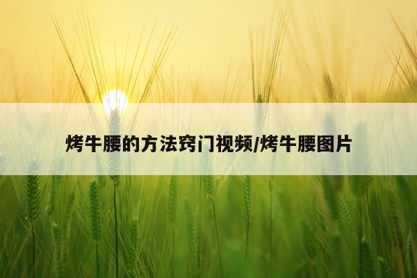 烤牛腰的方法窍门视频/烤牛腰图片
