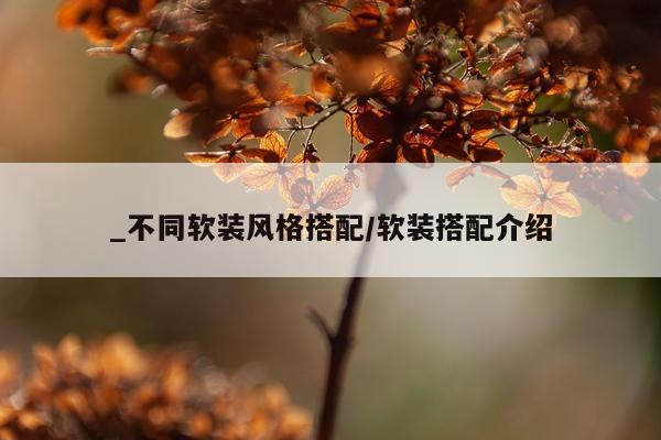 _不同软装风格搭配/软装搭配介绍