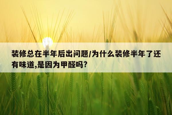 装修总在半年后出问题/为什么装修半年了还有味道,是因为甲醛吗?