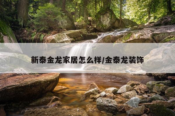新泰金龙家居怎么样/金泰龙装饰