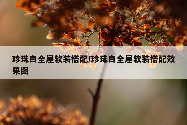 珍珠白全屋软装搭配/珍珠白全屋软装搭配效果图