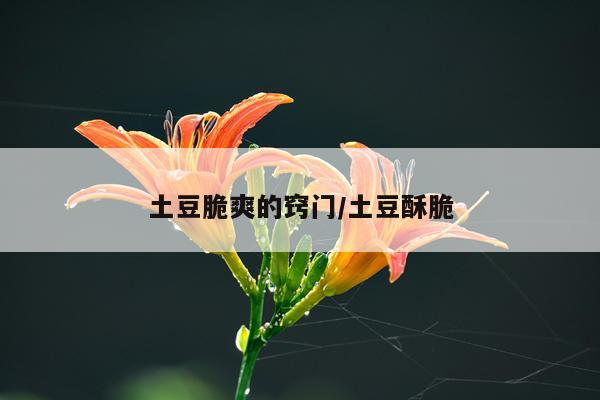 土豆脆爽的窍门/土豆酥脆