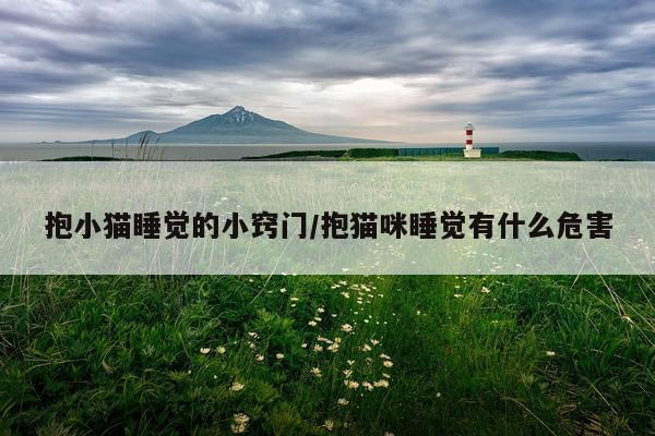 抱小猫睡觉的小窍门/抱猫咪睡觉有什么危害