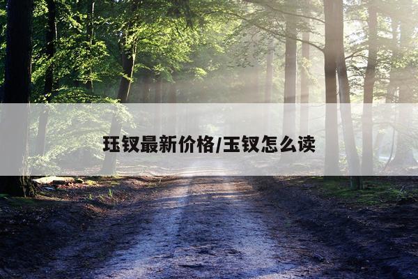 珏钗最新价格/玉钗怎么读