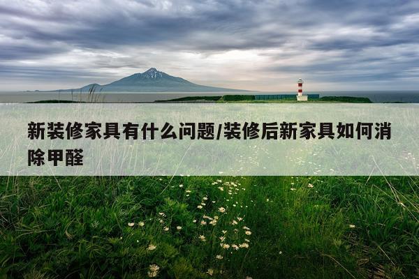 新装修家具有什么问题/装修后新家具如何消除甲醛
