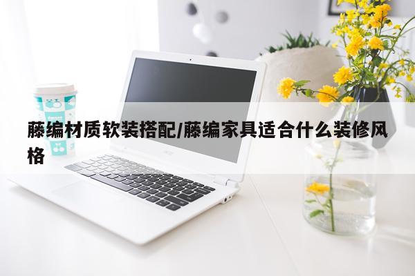 藤编材质软装搭配/藤编家具适合什么装修风格