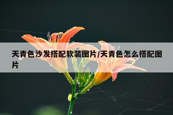 天青色沙发搭配软装图片/天青色怎么搭配图片