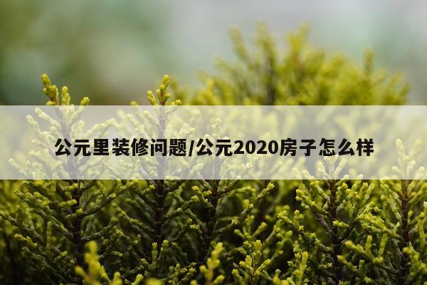 公元里装修问题/公元2020房子怎么样