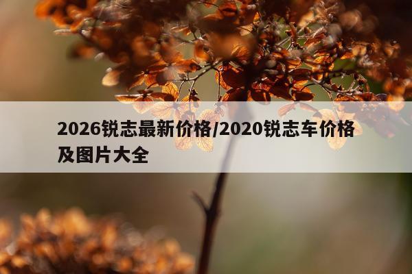 2026锐志最新价格/2020锐志车价格及图片大全