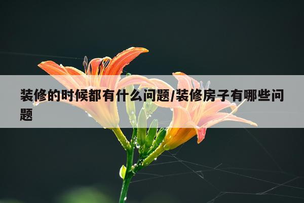 装修的时候都有什么问题/装修房子有哪些问题