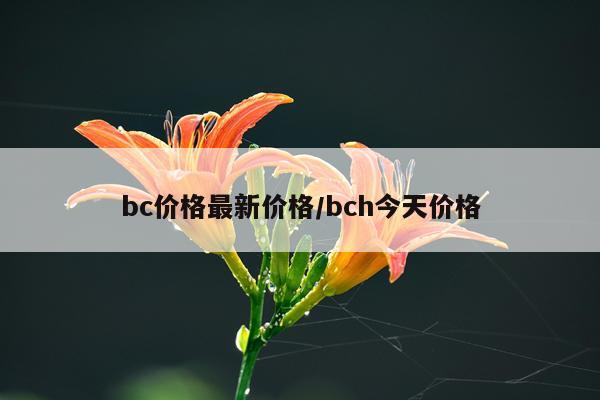 bc价格最新价格/bch今天价格