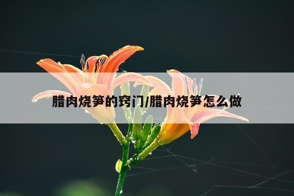 腊肉烧笋的窍门/腊肉烧笋怎么做