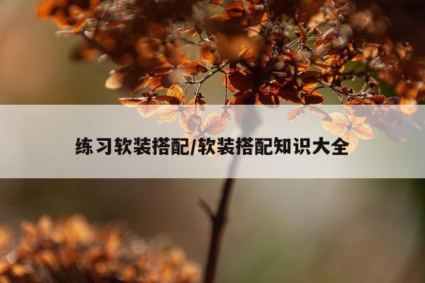 练习软装搭配/软装搭配知识大全