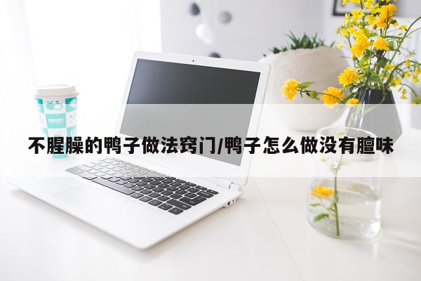 不腥臊的鸭子做法窍门/鸭子怎么做没有膻味