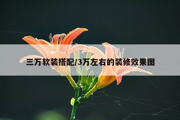 三万软装搭配/3万左右的装修效果图