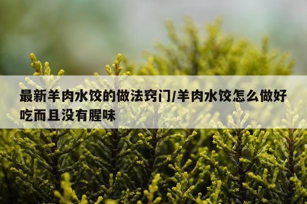 最新羊肉水饺的做法窍门/羊肉水饺怎么做好吃而且没有腥味