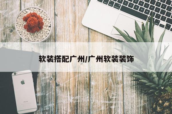 软装搭配广州/广州软装装饰