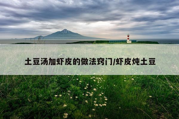 土豆汤加虾皮的做法窍门/虾皮炖土豆