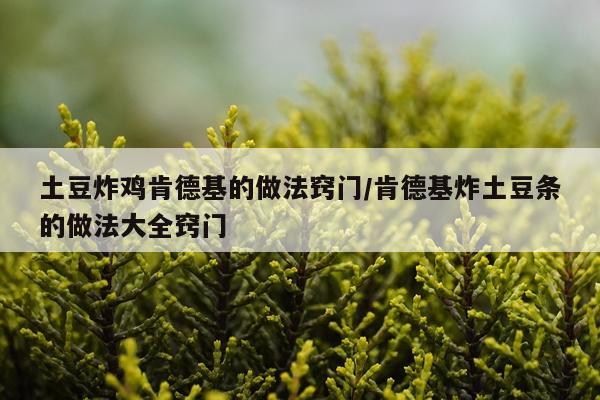土豆炸鸡肯德基的做法窍门/肯德基炸土豆条的做法大全窍门