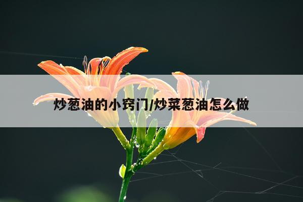 炒葱油的小窍门/炒菜葱油怎么做