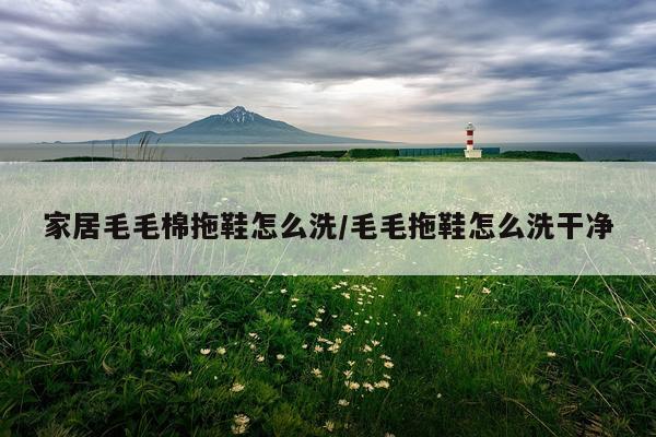 家居毛毛棉拖鞋怎么洗/毛毛拖鞋怎么洗干净