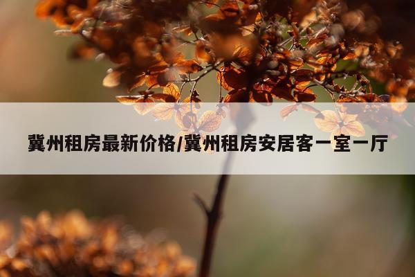 冀州租房最新价格/冀州租房安居客一室一厅