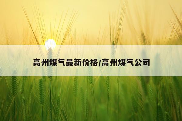 高州煤气最新价格/高州煤气公司