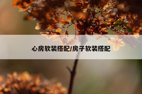 心房软装搭配/房子软装搭配