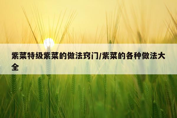 紫菜特级紫菜的做法窍门/紫菜的各种做法大全