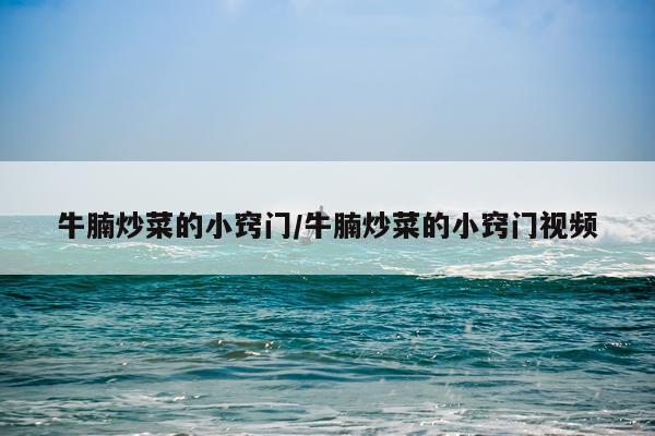 牛腩炒菜的小窍门/牛腩炒菜的小窍门视频