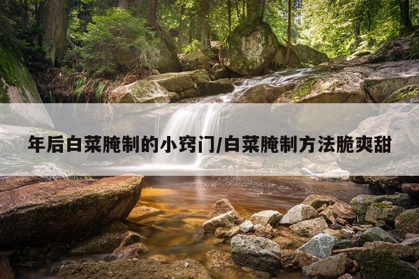 年后白菜腌制的小窍门/白菜腌制方法脆爽甜