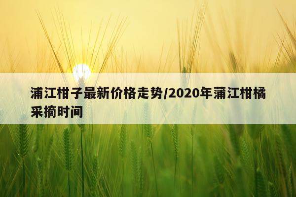 浦江柑子最新价格走势/2020年蒲江柑橘采摘时间