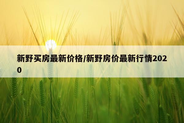 新野买房最新价格/新野房价最新行情2020