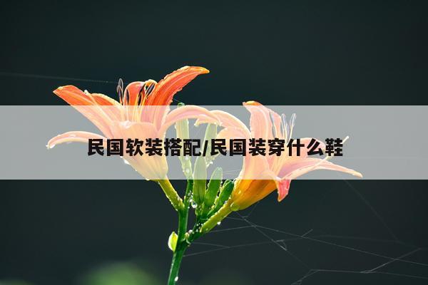 民国软装搭配/民国装穿什么鞋