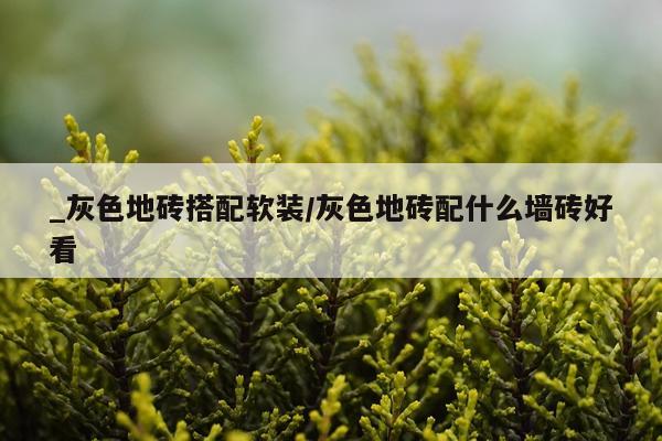 _灰色地砖搭配软装/灰色地砖配什么墙砖好看