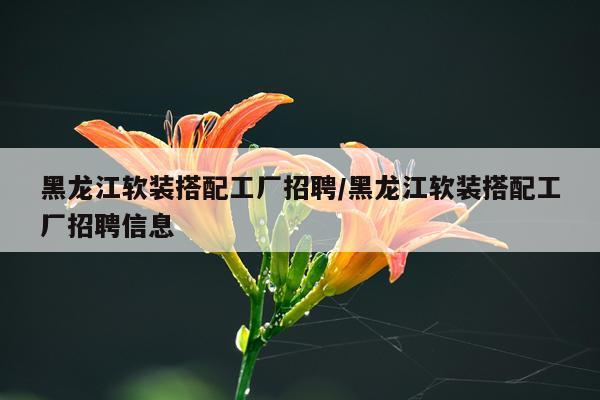 黑龙江软装搭配工厂招聘/黑龙江软装搭配工厂招聘信息