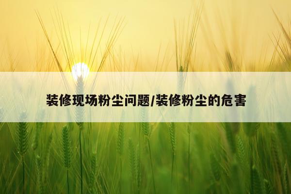 装修现场粉尘问题/装修粉尘的危害