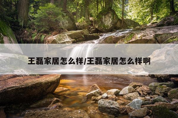 王磊家居怎么样/王磊家居怎么样啊