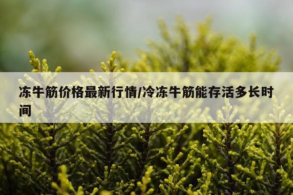 冻牛筋价格最新行情/冷冻牛筋能存活多长时间