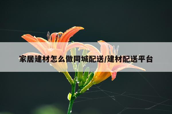家居建材怎么做同城配送/建材配送平台